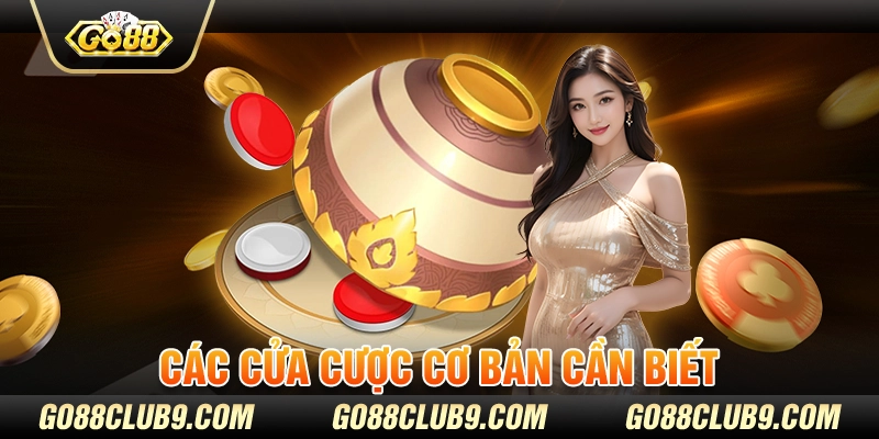 Các cửa cược cơ bản cần biết