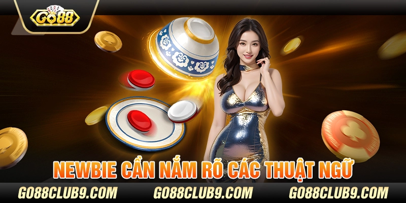 Newbie cần nắm rõ các thuật ngữ